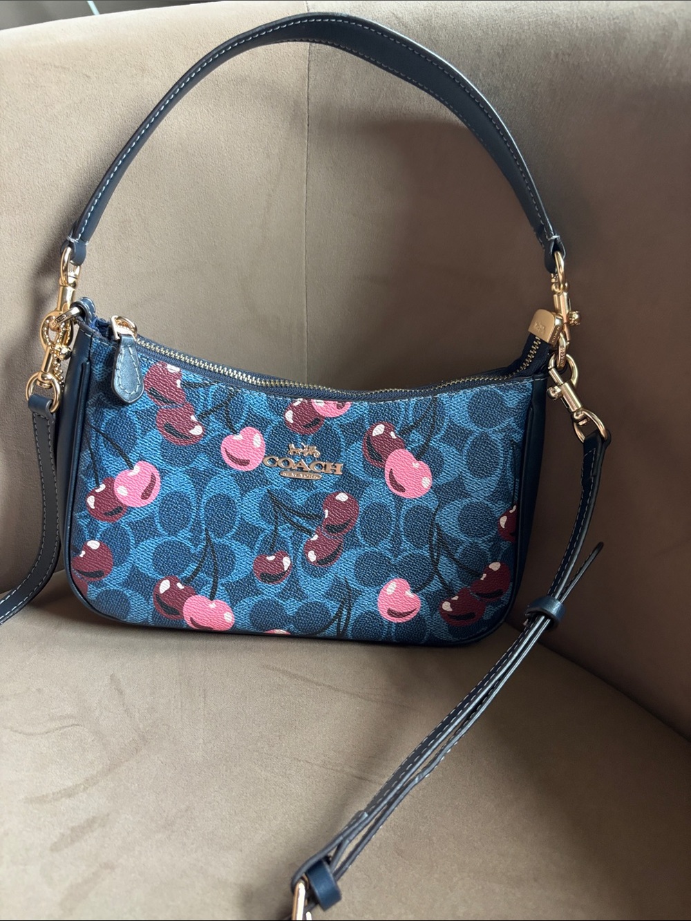 Coach Teri leather Crossbody with Pink & Red Cherry Motif